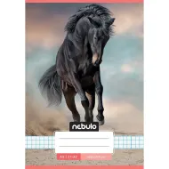Nebulo: Koń na piasku zeszyt w kratkę A/5 27-32