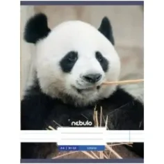 Nebulo: Panda gładki zeszyt A4 80-32