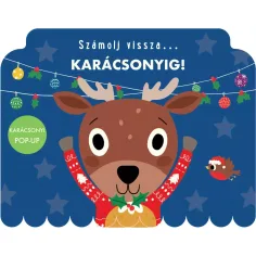 Odliczaj... do Świąt! książka dla dzieci