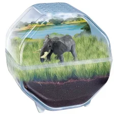 Science & Play: Mini słoń terrarium zestaw zabawek - Clementoni zdjęcie 2