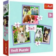 Słodkie pieski 3 w 1 puzzle 50-36-20 elementów - Trefl
