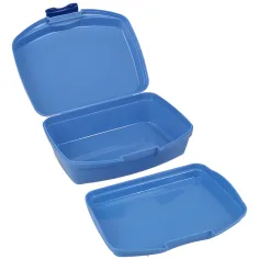 Spirit: Mistrz piłki nożnej pojemnik na drugie śniadanie 550ml 16,8x13,5x6,5cm zdjęcie 2