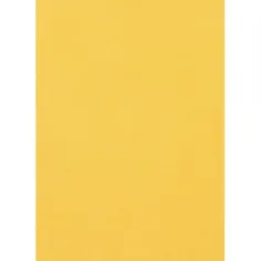 Spirit: Złota gąbka A/4 o grubości 2mm