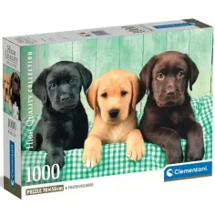 Trzy małe labradory 1000 elementów HQC puzzle z plakatem - Clementoni