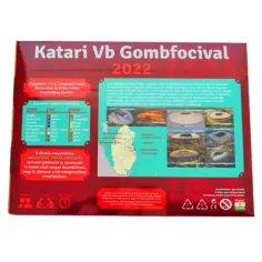 Zestaw do gry w piłkę nożną Katari VB 2022 zdjęcie 2