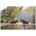 Animal Planet: Słonie w jeziorze 1000-elementowe puzzle