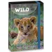 Ars Una: Máté Bence The Eyes of the Wild - Teczka z gumką A/4 Lew