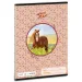 Ars Una: My sweet Horse zeszyt w linie dla 2 klasy A/5