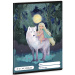 Ars Una: Northern Lights zeszyt w linie A/5 21-32