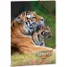 Ars Una: Serenity Tiger teczka gumowa, A4