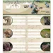 Ars Una: The Eye of the Wild 2 pakowane etykiety na zeszyty 3x6 sztuk