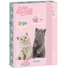 Ars Una: Urocze zwierzęta - przyjęcie herbaciane, pudełko na zeszyt A5 z kotkami