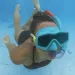 Bestway: Aqua Prime Essential™ Maska do snorkelingu, fajka, zestaw w różnych kolorach