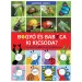 Bodzio i Pulka: Kto jest kim? Bohaterowie serii w naturze - Pagony
