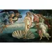 Botticelli: Narodziny Wenus Muzeum HQC puzzle 2000 elementów - Clementoni