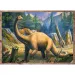 Ciekawe dinozaury 4 w 1 puzzle - Trefl