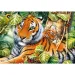 Dwa tygrysy puzzle 1500 elementów - Trefl