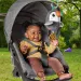 Fisher Price: Urocza latająca pluszowa zabawka tukan dla niemowląt - Mattel