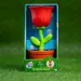 FruBlu: Maszyna do baniek mydlanych Róża z 2x40ml płynu