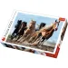 Galopujące konie 1000-elementowe puzzle premium - Trefl