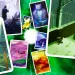 Gra planszowa Mysterium