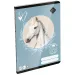 ICO: LizzySuli Wild Beauty Sport Club gładki zeszyt A5 20-32