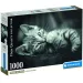 Kitty kotek HQC 1000 elementów puzzle - Clementoni