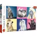 Kocięta puzzle 500 elementów - Trefl