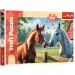 Konie na polanie puzzle 200 elementów - Trefl