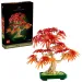 LEGO® Botanicals: Bonsai japoński z czerwonymi liśćmi klonu (10348)