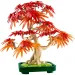 LEGO® Botanicals: Bonsai japoński z czerwonymi liśćmi klonu (10348)