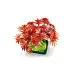 LEGO® Botanicals: Bonsai japoński z czerwonymi liśćmi klonu (10348)
