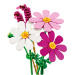 LEGO® Botanicals: Kwiaty motylkowe (11514)