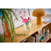 LEGO® Botanicals: Kwiaty motylkowe (11514)
