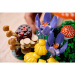 LEGO® Botanicals: Leśne grzyby (11505)