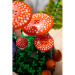LEGO® Botanicals: Leśne grzyby (11505)