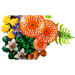 LEGO® Botanicals: Leśne grzyby (11505)