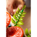 LEGO® Botanicals: Leśne grzyby (11505)