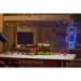 LEGO® DREAMZzz: Furgonetka z farbą w sprayu Mateo (71499)