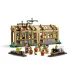 LEGO® Harry Potter: Zamek Hogwart™: Lekcja zielarstwa (76445)