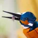 LEGO® Icons: Zimorodek (10331)