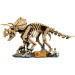 LEGO® Jurassic World™: Szczątki dinozaura: Triceratops (77985)