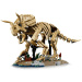LEGO® Jurassic World™: Szczątki dinozaura: Triceratops (77985)