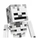 LEGO® Minecraft: Szkielet (21594) zdjęcie 3
