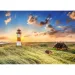 Listi latarnia morska, puzzle premium plus quality 1000 elementów - Trefl