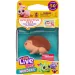 Little Live Pets: Needees Kolekcjonerskie Zwierzaki - Jeżyk Ouchee