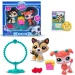Littlest Pet Shop: Petfluencers psy 2-figurki zestaw - Jump and Joy seria 2