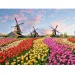 Mozaika diamentowa: Zestaw do malowania diamentami „Holenderskie pole tulipanów” 30x40 cm