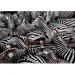 National Geographic - Zebry 1000-elementowe puzzle - Clementoni