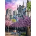 Paryż, Notre Dame puzzle premium 1000 elementów - Trefl